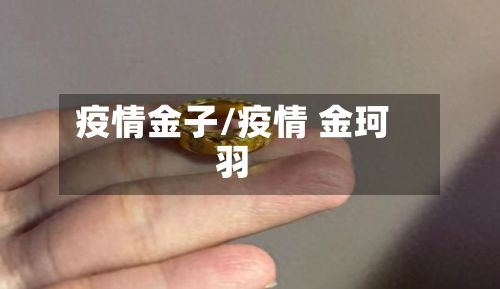 疫情金子/疫情 金珂羽