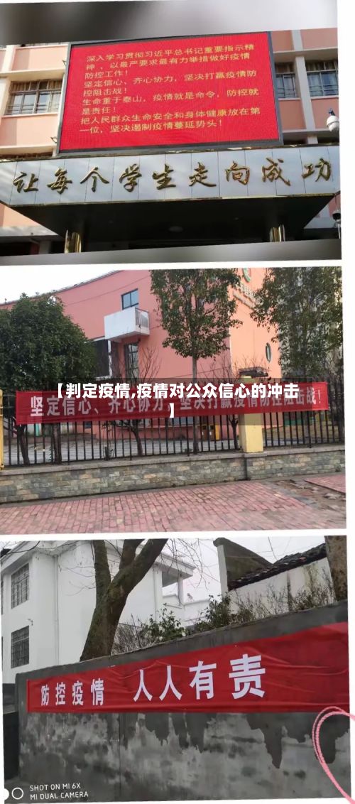 【判定疫情,疫情对公众信心的冲击】-第2张图片