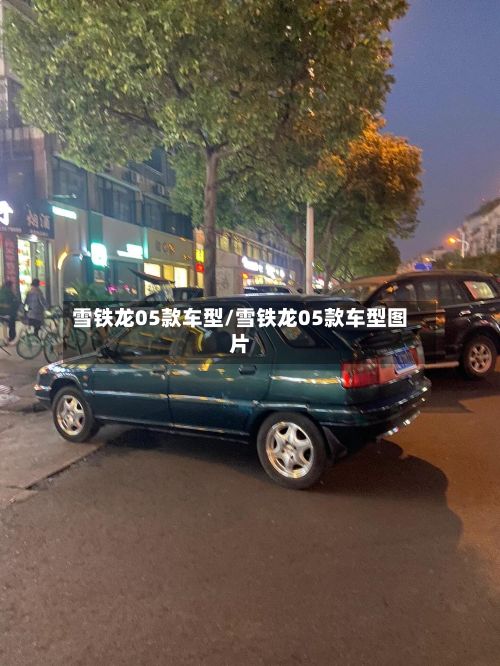 雪铁龙05款车型/雪铁龙05款车型图片