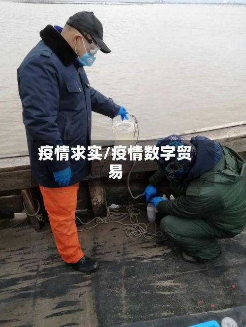 疫情求实/疫情数字贸易-第2张图片