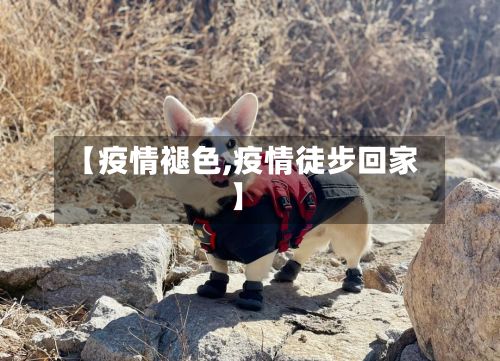 【疫情褪色,疫情徒步回家】-第3张图片
