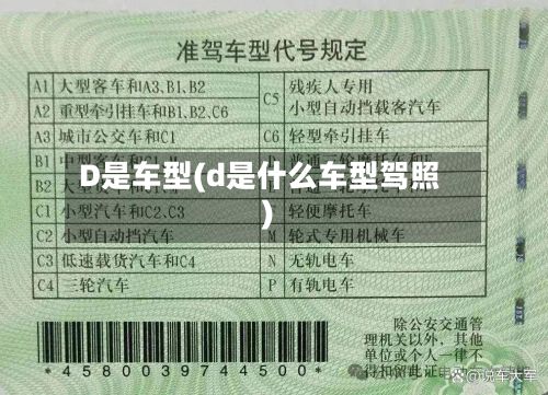 D是车型(d是什么车型驾照)-第2张图片