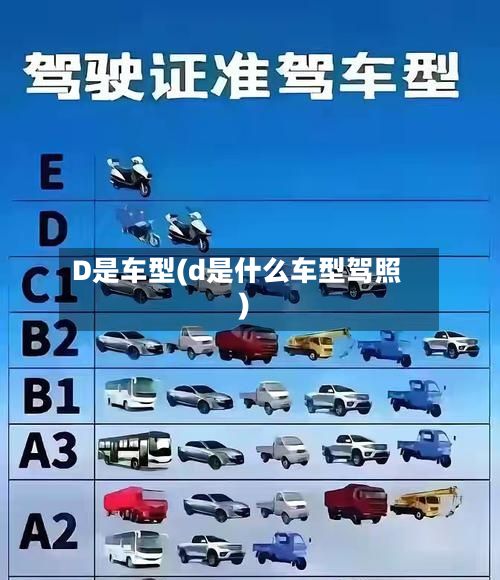 D是车型(d是什么车型驾照)