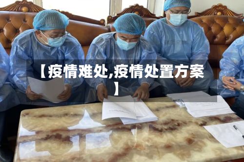 【疫情难处,疫情处置方案】