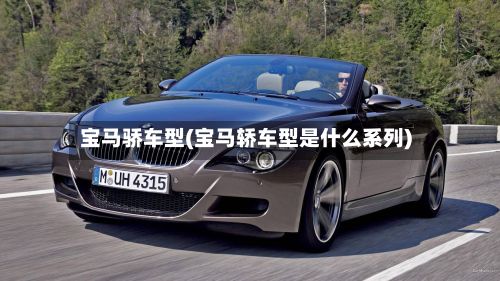 宝马骄车型(宝马轿车型是什么系列)-第3张图片