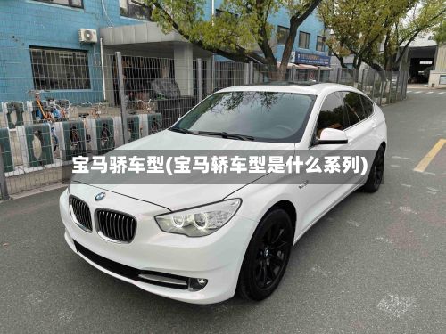 宝马骄车型(宝马轿车型是什么系列)-第2张图片