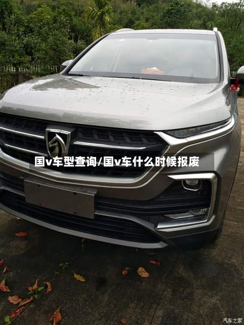 国v车型查询/国v车什么时候报废-第3张图片