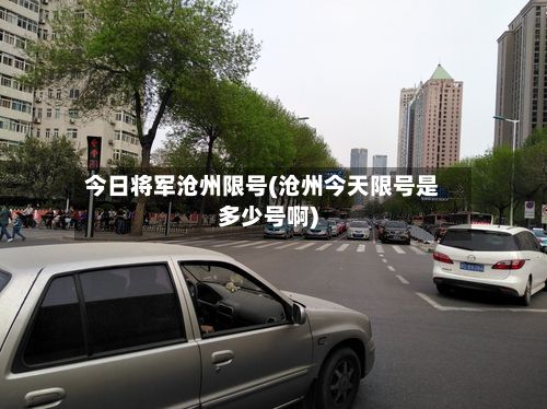 今日将军沧州限号(沧州今天限号是多少号啊)-第3张图片
