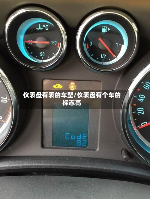 仪表盘有表的车型/仪表盘有个车的标志亮