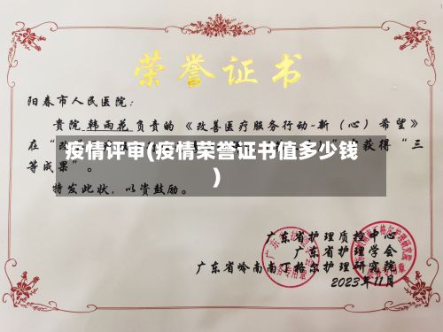 疫情评审(疫情荣誉证书值多少钱)-第2张图片