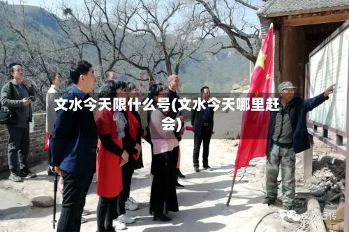 文水今天限什么号(文水今天哪里赶会)