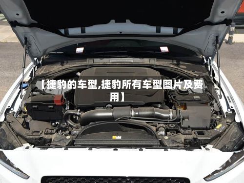 【捷豹的车型,捷豹所有车型图片及费用】
