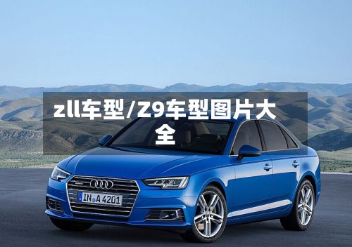 zll车型/Z9车型图片大全