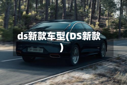 ds新款车型(DS新款)-第2张图片