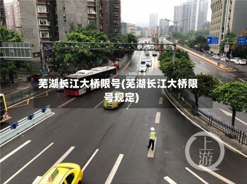 芜湖长江大桥限号(芜湖长江大桥限号规定)