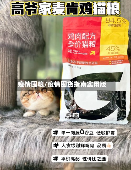 疫情囤粮/疫情囤货指南实用版