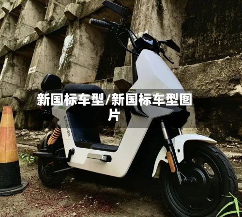 新国标车型/新国标车型图片-第2张图片