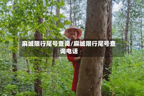 麻城限行尾号查询/麻城限行尾号查询电话