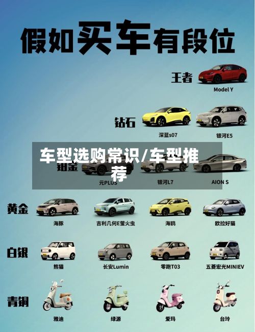 车型选购常识/车型推荐