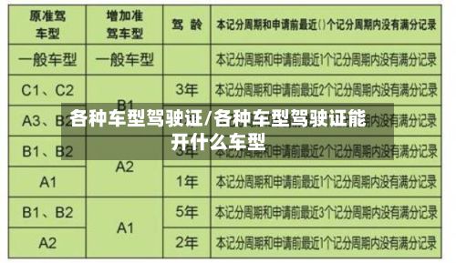 各种车型驾驶证/各种车型驾驶证能开什么车型