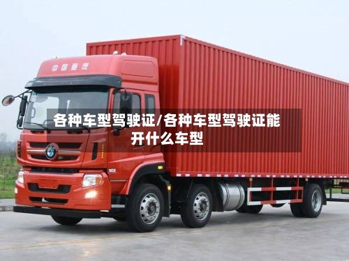 各种车型驾驶证/各种车型驾驶证能开什么车型-第2张图片
