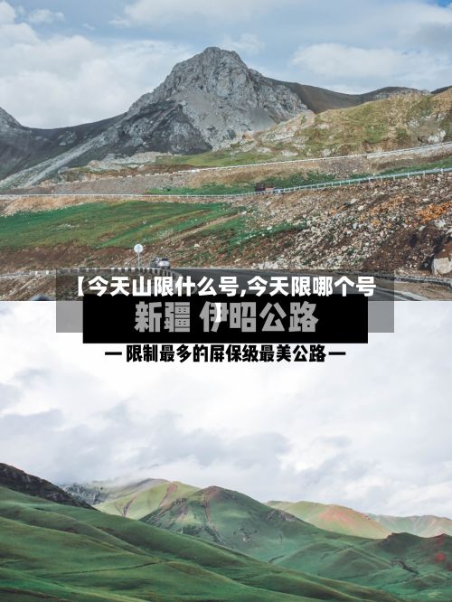 【今天山限什么号,今天限哪个号】