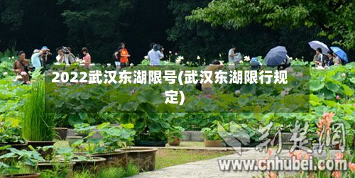 2022武汉东湖限号(武汉东湖限行规定)