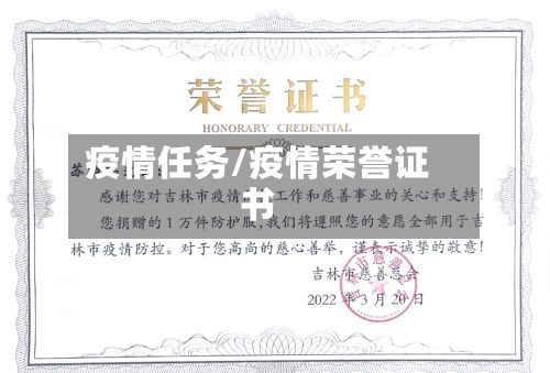 疫情任务/疫情荣誉证书