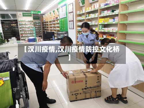 【汉川疫情,汉川疫情防控文化桥】-第2张图片