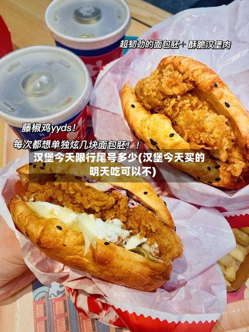 汉堡今天限行尾号多少(汉堡今天买的明天吃可以不)-第3张图片
