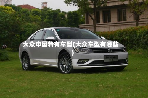 大众中国特有车型(大众车型有哪些)