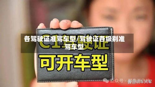 各驾驶证准驾车型/驾驶证各级别准驾车型
