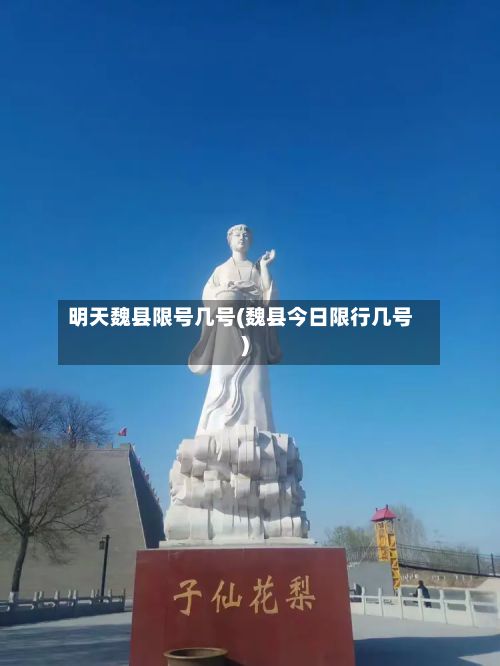 明天魏县限号几号(魏县今日限行几号)
