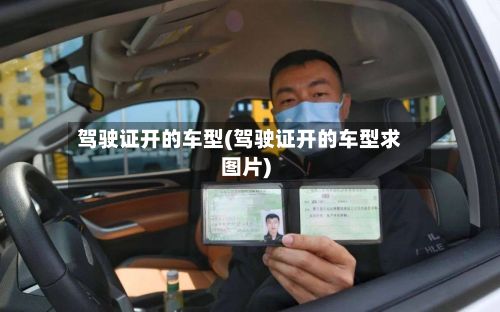 驾驶证开的车型(驾驶证开的车型求图片)
