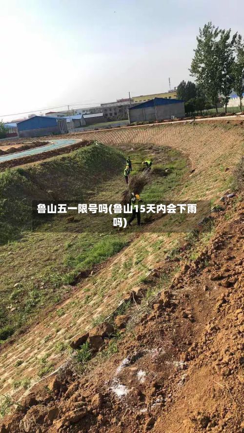 鲁山五一限号吗(鲁山15天内会下雨吗)-第2张图片