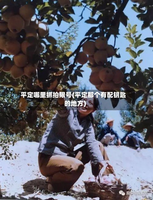 平定哪里抓拍限号(平定那个有配钥匙的地方)-第2张图片