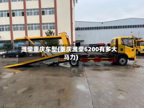 潍柴重庆车型(重庆潍柴6200有多大马力)