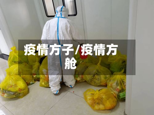 疫情方子/疫情方舱
