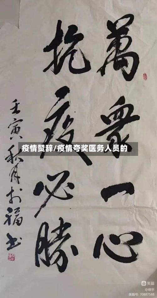 疫情赞辞/疫情夸奖医务人员的