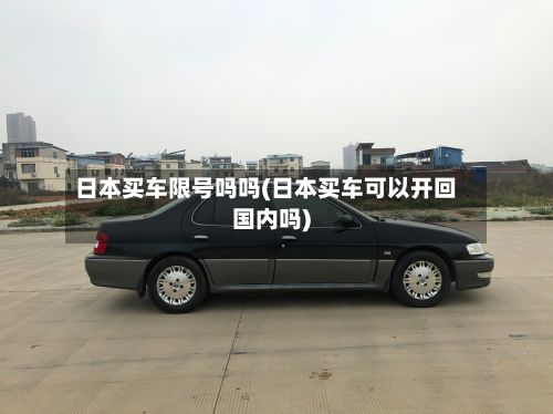 日本买车限号吗吗(日本买车可以开回国内吗)-第2张图片