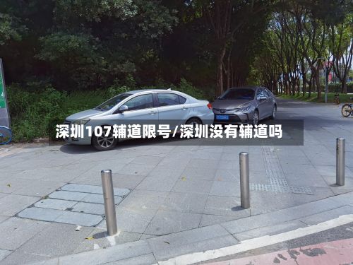 深圳107辅道限号/深圳没有辅道吗