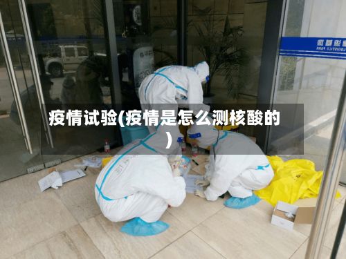 疫情试验(疫情是怎么测核酸的)