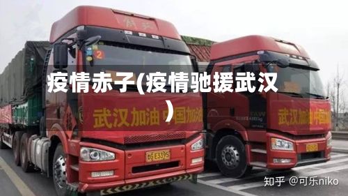 疫情赤子(疫情驰援武汉)