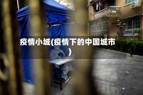 疫情小城(疫情下的中国城市)