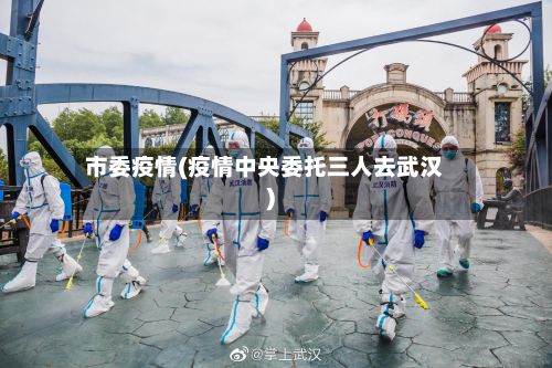 市委疫情(疫情中央委托三人去武汉)