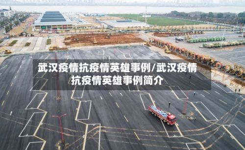 武汉疫情抗疫情英雄事例/武汉疫情抗疫情英雄事例简介