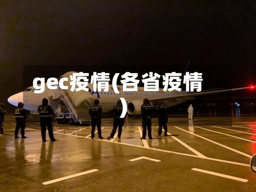 gec疫情(各省疫情)-第2张图片