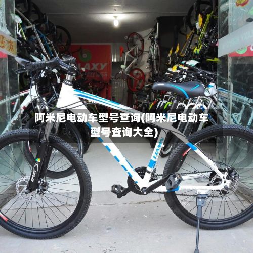 阿米尼电动车型号查询(阿米尼电动车型号查询大全)