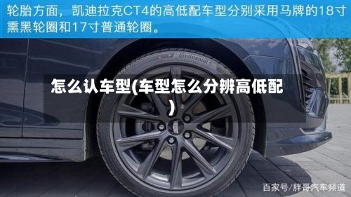 怎么认车型(车型怎么分辨高低配)