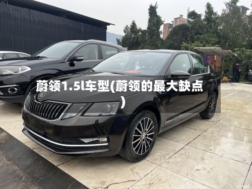 蔚领1.5l车型(蔚领的最大缺点)-第2张图片
